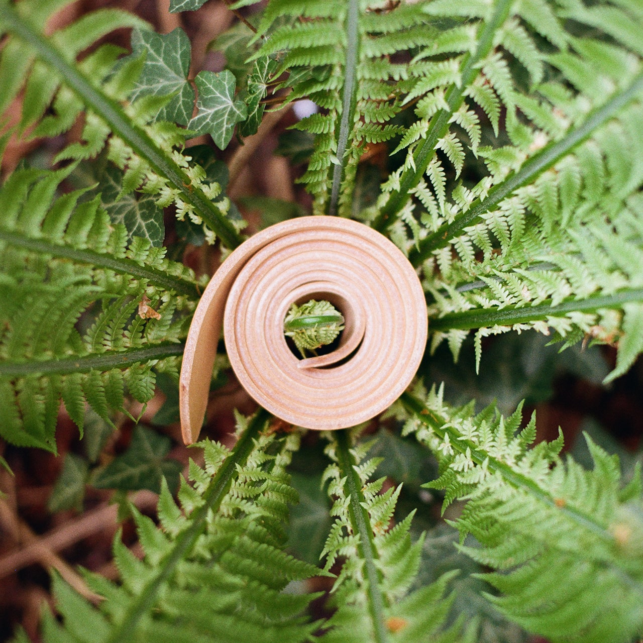 Dlaczego garbowana roślinnie?